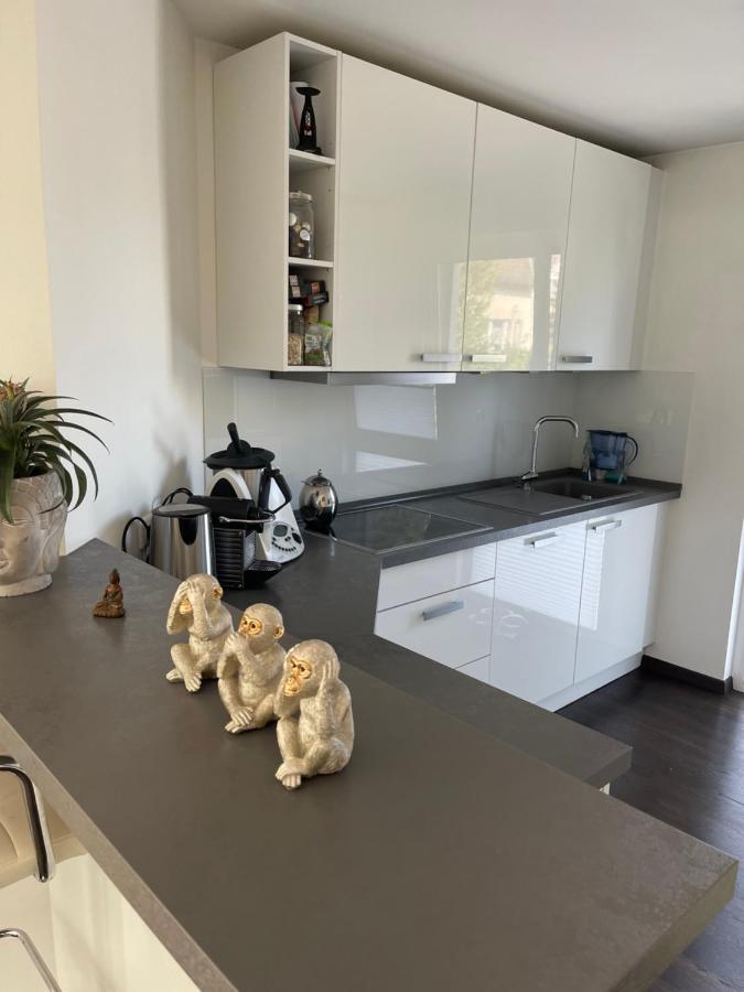 Gemuetliche Villa Am Waldrand In Taunusstein Esterno foto